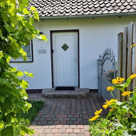 Feel-Good Apartment Close To The City Reppenstedt Екстер'єр фото